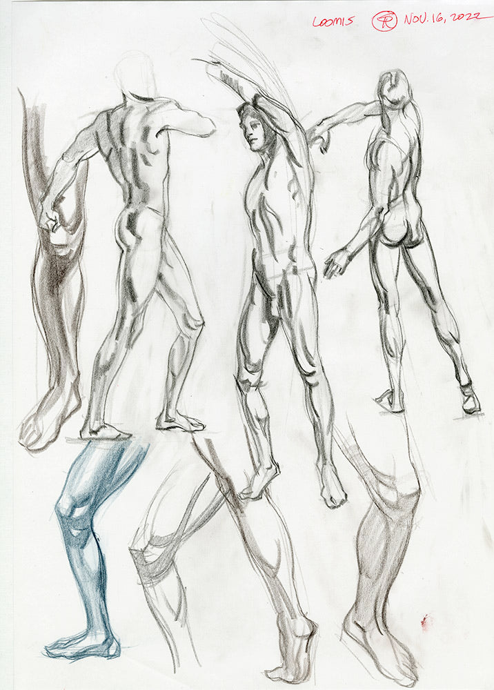 Basic male body proportions : r/drawing