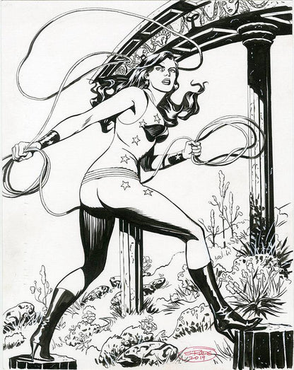 11x17 Custom Pen and Ink Commission - Steve Rude Art